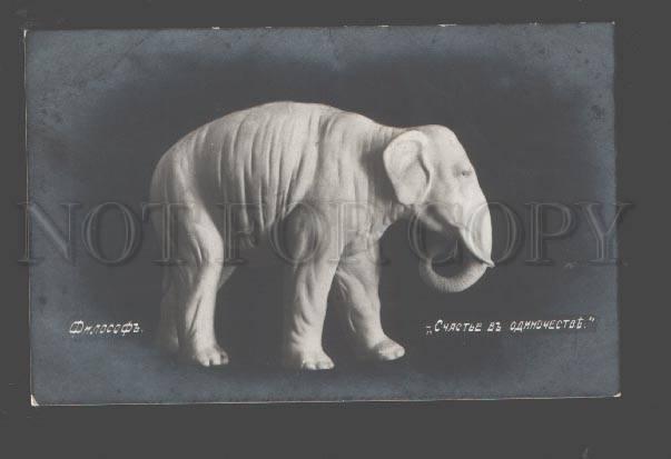 093962 Happy ELEPHANT as Philosopher Vintage PHOTO Russian