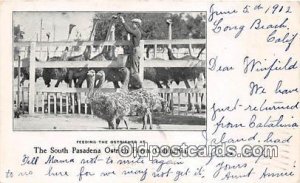 South Pasadena Ostrich Farm California, USA