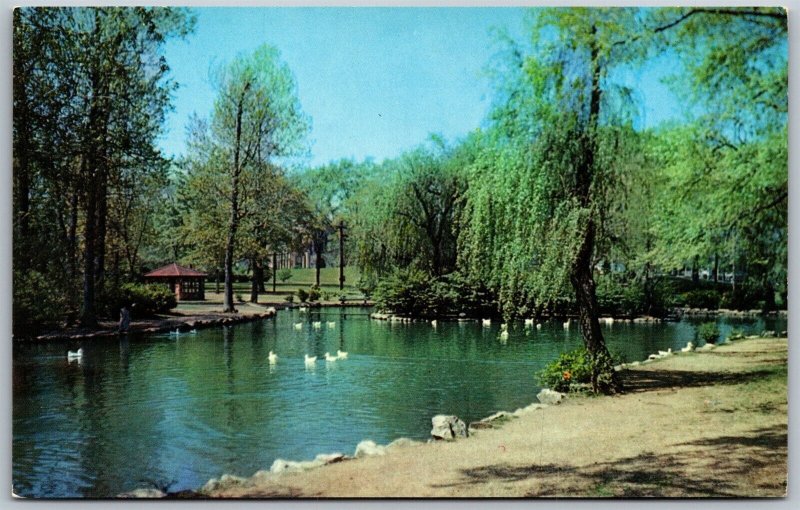 Vtg Birmingham Alabama AL Lagoon in Avondale Park Gazebo Duck 1950s Postcard