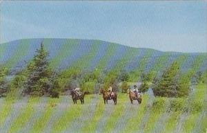 Oklahoma Ponca City  Worlds Nighest Mill