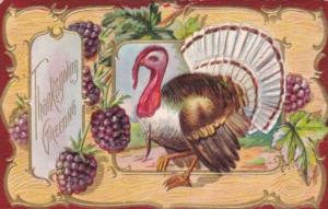Thanksgiving With Turkey