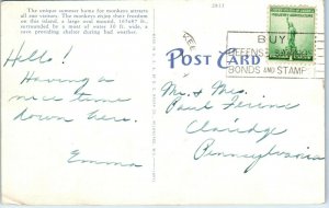 1940s Monkey Island Washington Park Milwaukee Wisconsin Postcard