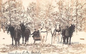 Winter Scene with Horses in Long Lake, Michigan