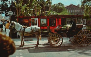 New Orleans Louisiana, French Quarter Sightseeing Horse Carriage, Postcard