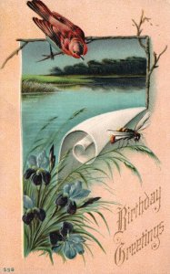 Vintage Postcard 1911 A Happy Birthday Greetings Bird on Branch River Flowers