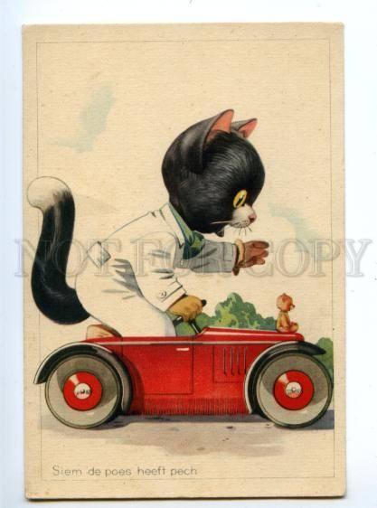 140796 Dressed CAT in Small CAR vintage COMIC colorful PC