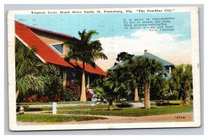 Vintage 1931 Postcard Tropical Scene, Beach Drive North, St. Petersburg, Florida