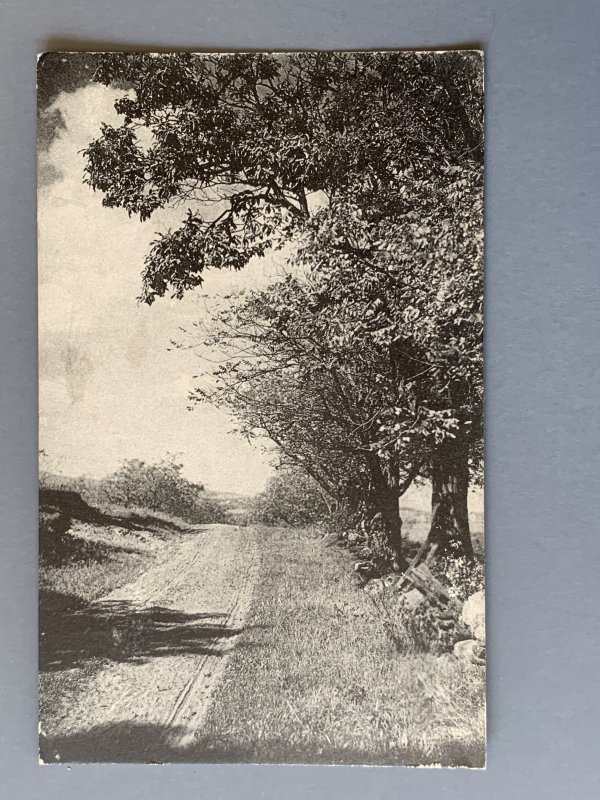 Rural Road Scene RPPC Postcard A1147083536