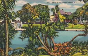 Florida Tarpon Springs Spring Bayou