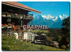 Postcard Modern Beatenberg Eiger Monch Jungfrau