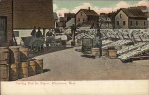 Gloucester MA Packing Fish For Export c1910 Postcard