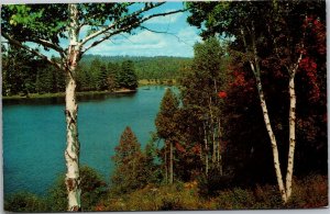 Postcard NY Middletown Crystal Clear Lake