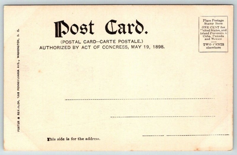 Smithsonian Institution    Washington  DC   Postcard  c1905