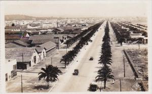 Tunisia Tunis Avenue Gambetta Real Photo