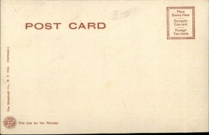 Summit Park NY Dancing Pavilion c1905 Hand Colored Postcard