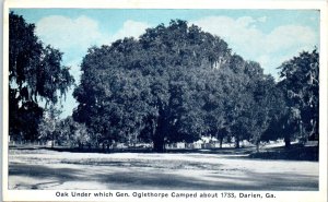 1920s General Oglethorpe Oak Tree Darien GA Postcard