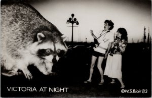 Victoria BC Giant Raccoon 'Victoria at Night' WS Blair Real Photo Postcard G29