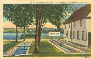 Chautauqua Lake NY New York State Fish Hatchery Linen Postcard Unused