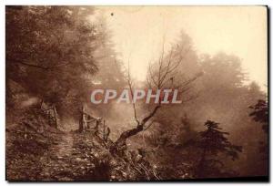 Old Postcard All France Luchon Superbahneres and Surrounding forest mountain ...