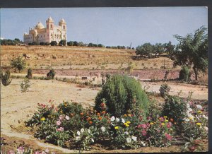 Tunisia Postcard - Carthage - La Cathedrale Saint Louis    RR2660