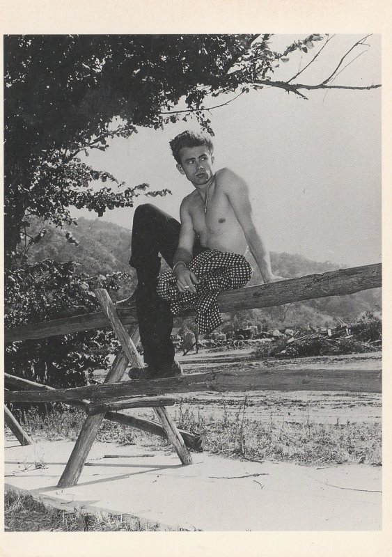 1989 JAMES DEAN POSTCARD SITTING ON FENCE SHIRTLESS SMOKING CIGARETTE