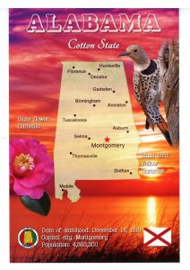 AL - Alabama Map & Highlights   (continental size)