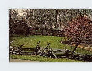 Postcard Redbud Bloom Mountain Life Museum Levi Jackson Wilderness Rd State Park