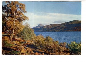 Island, Falls of Dochart, Killin, Perthshire, Scotland