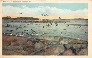 Boothbay Harbor Mane 1927 Postcard Sea Gulls Ocean Coast