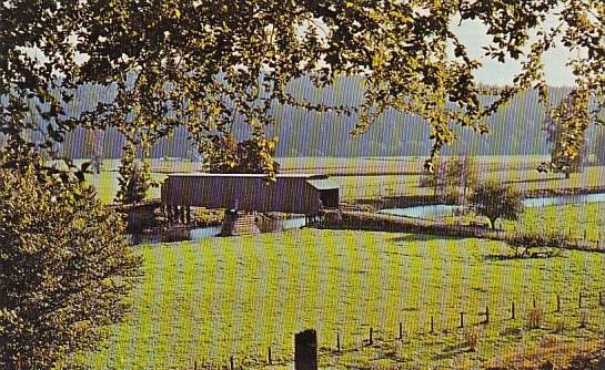 Historic Covered Bridge Cathtanmet Washington