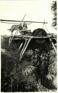 iraq, MOSUL الموصل, Donkey Wheel (1950s) RPPC Postcard