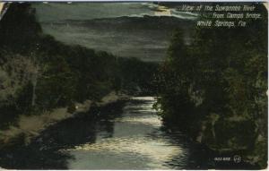 Suwannee River from Camps Bridge ~ White Springs FL Florida ~ c1909 Postcard