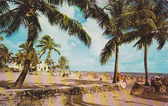 Florida Miami Beach Relaxing On A Lovely Beach In Florida 1960