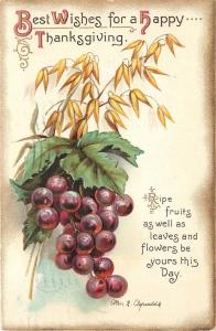 1907-15 posted Embossed Printed PC Grape Thanksgiving Greeting Clapsaddle 4154