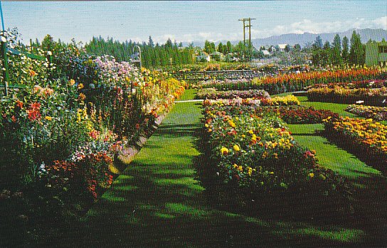 Canada Cominco Garden Kimberley British Columbia