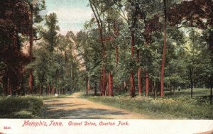 Vintage Postcard 1908 Gravel Drive Overton Park Memphis TN Tennessee Hertzog