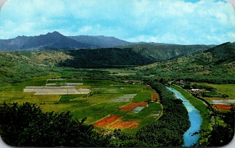 Hawaii Kauai View Of Hanalei Valley