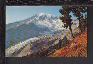 Mount Rainier,Nisqually Glacier,WA Postcard BIN 