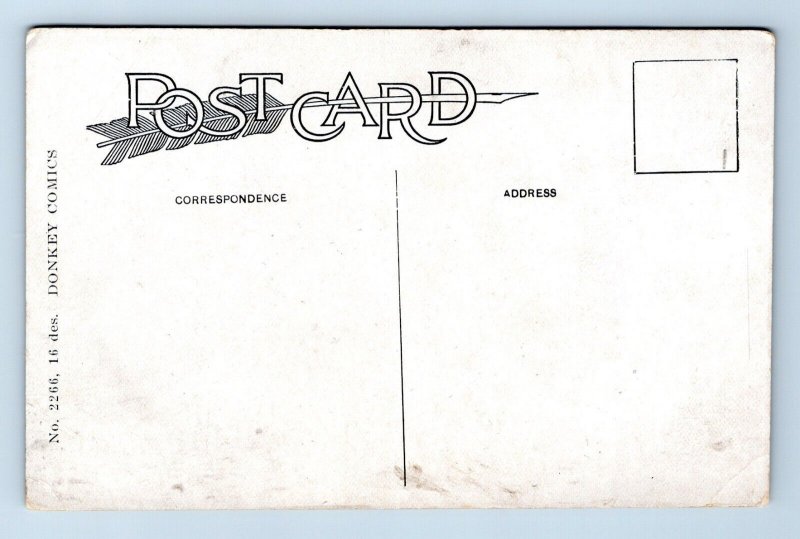 Got a Kick Coming Donkey Mule Comic Humor UNP  DB Postcard M5