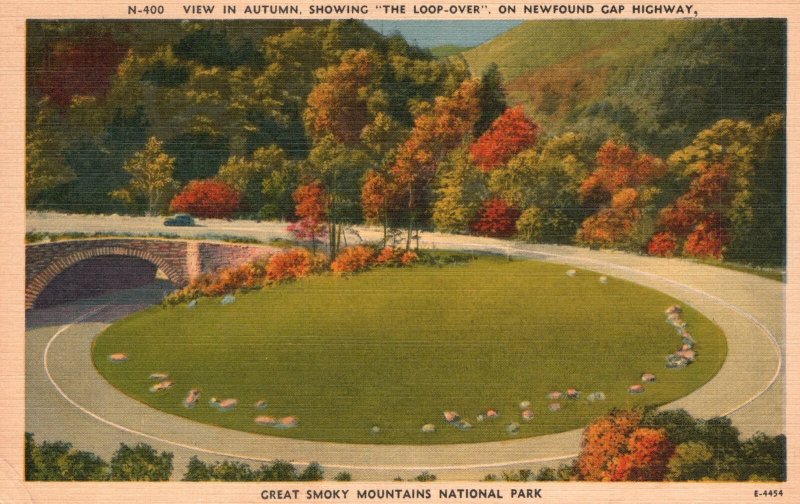 Vintage Postcard 1953 Autumn Loop-Over Newfound Gap Highway Smoky Mountains Park 