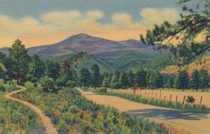 White Mountain - Sierra Blanca from the Ruidoso Highway NM, New Mexico - Linen