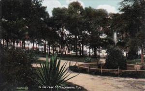 Florida St Petersburg Scene In The Park