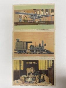 Smithsonian Institution Washington, D.C. Postcard Booklet - 10 Photos