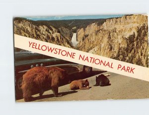 Postcard Yellowstone National Park, Wyoming