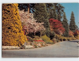 Postcard Border Flowers And Shruberry, Stanley Park, Vancouver, Canada