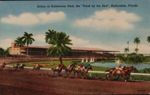 Action at Gulfstream  Park, the Track by the Sea, Hallandale,  Florida.    PC