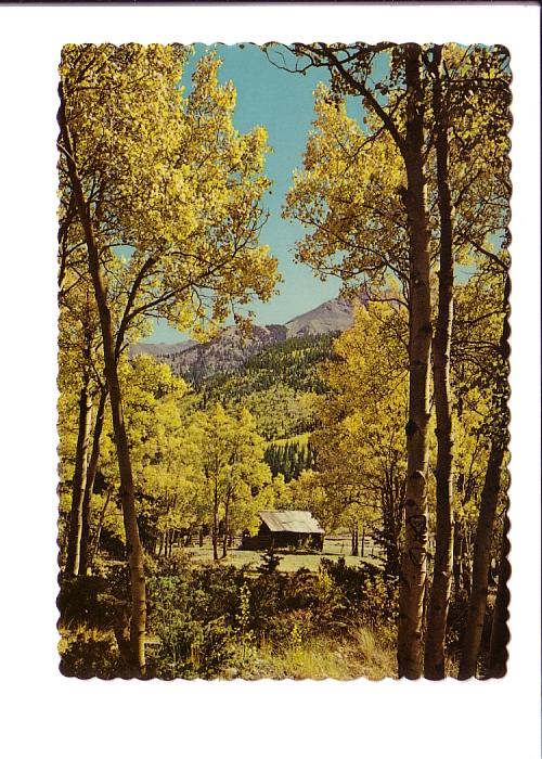 Amber Foliage of Aspen Near Ghost Town, Colorado, 