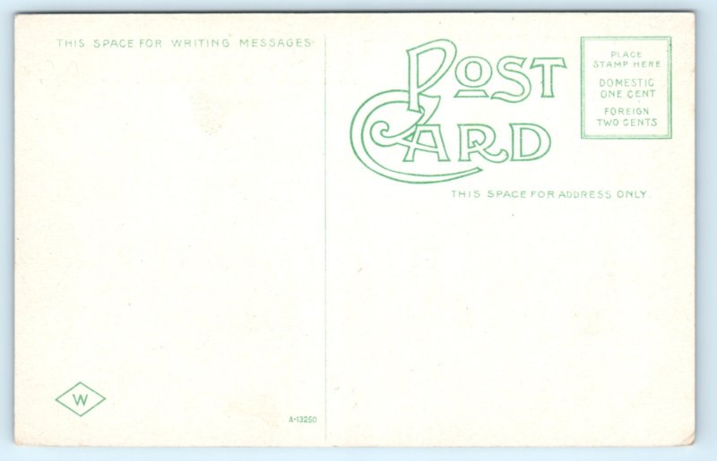 Bridgeport CT Amusement Park Airplane Seaside Postcard