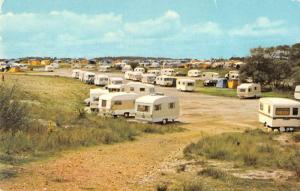 Burley England view of Holmsley Camping Site at New Forest vintage pc Z51003 