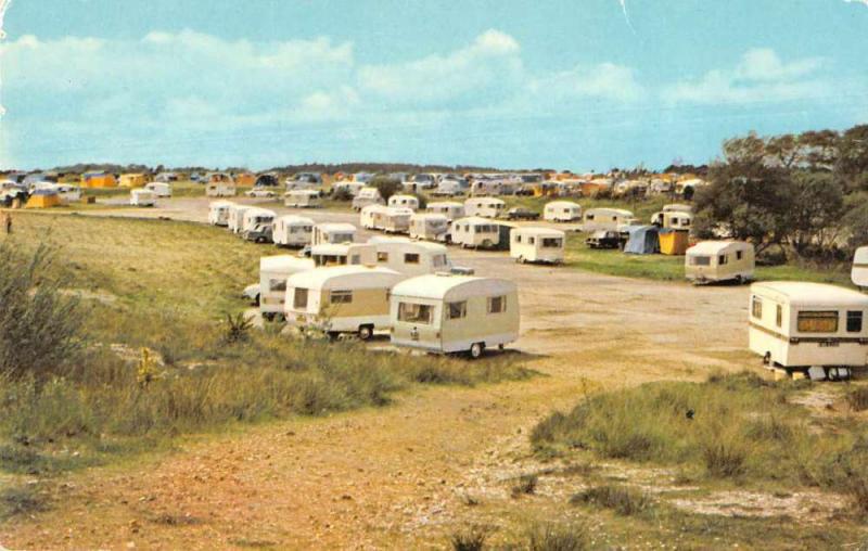 Burley England view of Holmsley Camping Site at New Forest vintage pc Z51003